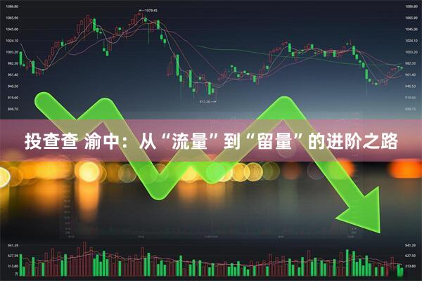 投查查 渝中：从“流量”到“留量”的进阶之路