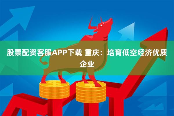 股票配资客服APP下载 重庆：培育低空经济优质企业